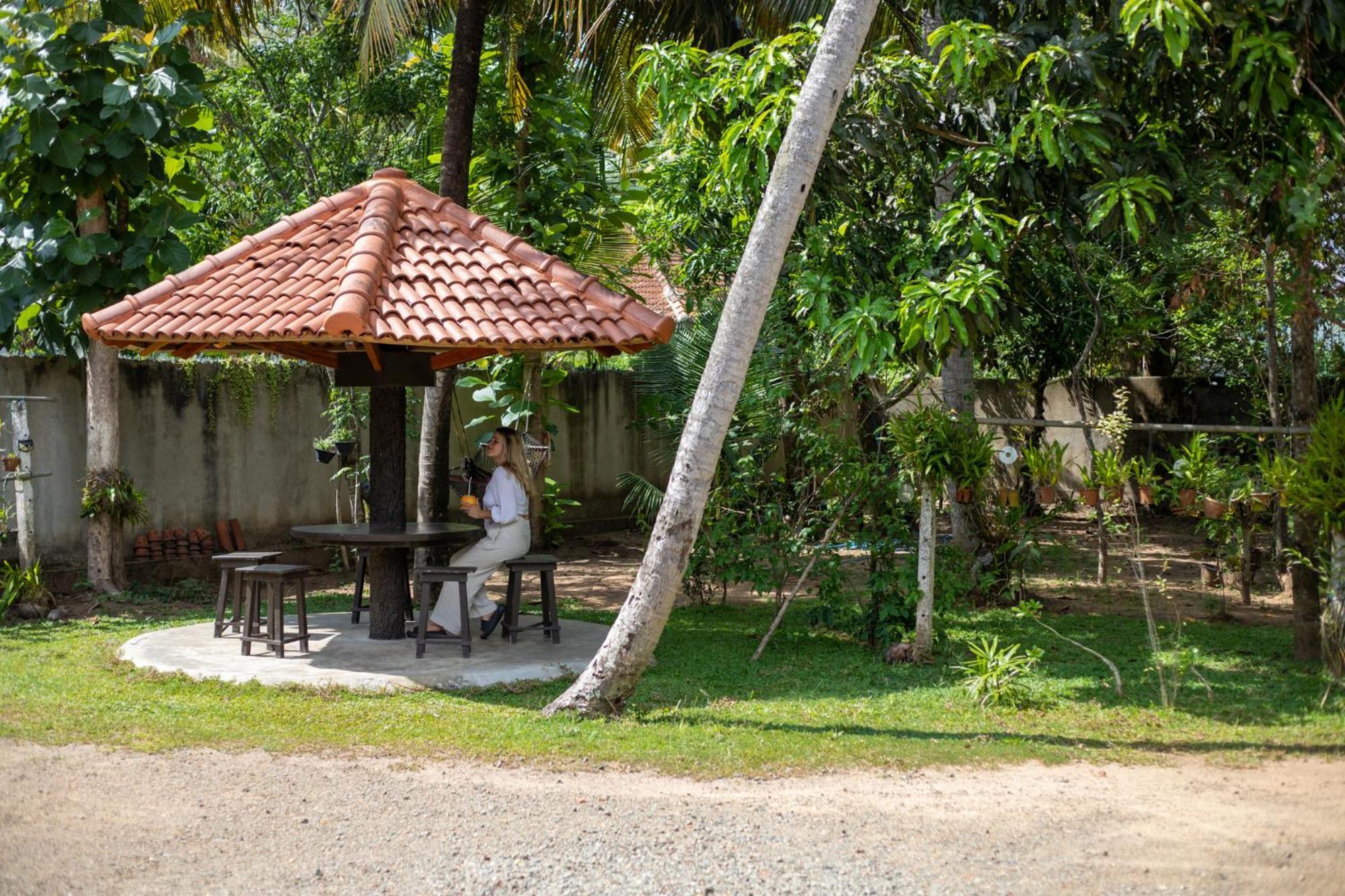 Surfbayvilla Dikwella Extérieur photo